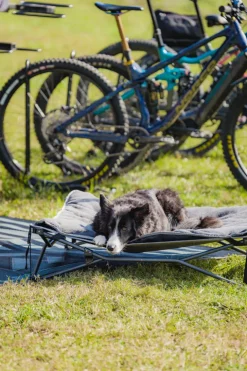 Online OZtrail Dog Bed & Fleece Topper