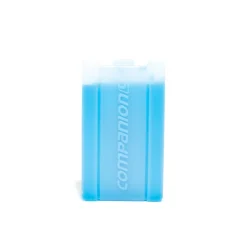 Clearance Companion Ice Brick Medium - 350ml