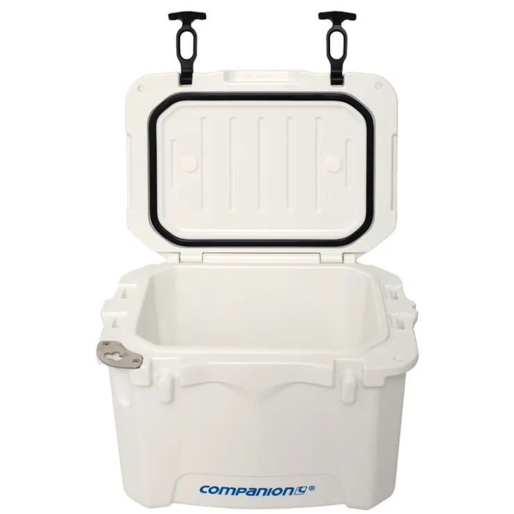 Clearance Companion 15L Ice Box With Bail Handle
