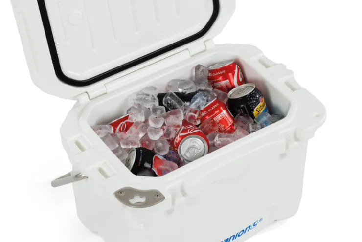 Clearance Companion 15L Ice Box With Bail Handle