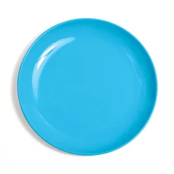 Discount Campfire Melamine Dinner Plate - Blue